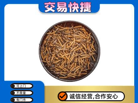 武汉汉南区回收散虫草